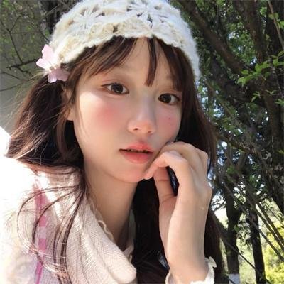 菜鸟老警第二季